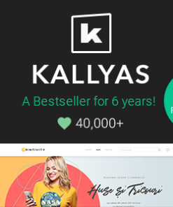KALLYAS - Creative eCommerce Multi-Purpose WordPress Theme