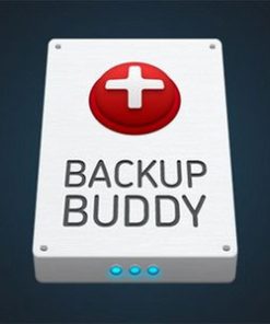 BackupBuddy - Back up, restore and move WordPress