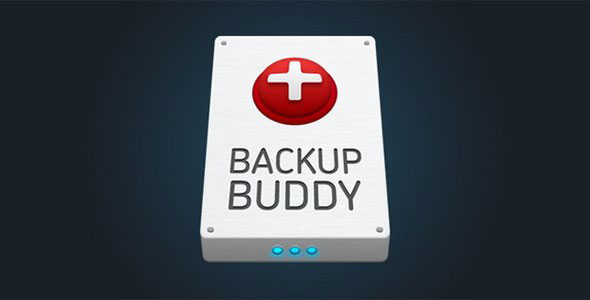 BackupBuddy - Back up, restore and move WordPress