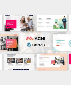 Agni – Consulting Business