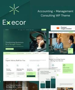 Execor – Accounting and Management Consulting WordPress Theme