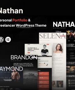 Nathan - Personal Resume CV Portfolio WordPress Theme