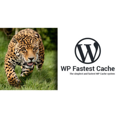 WP Fastest Cache WordPress Plugin β Premium