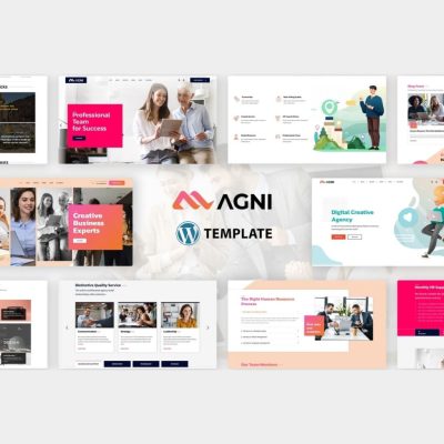 Agni β Consulting Business