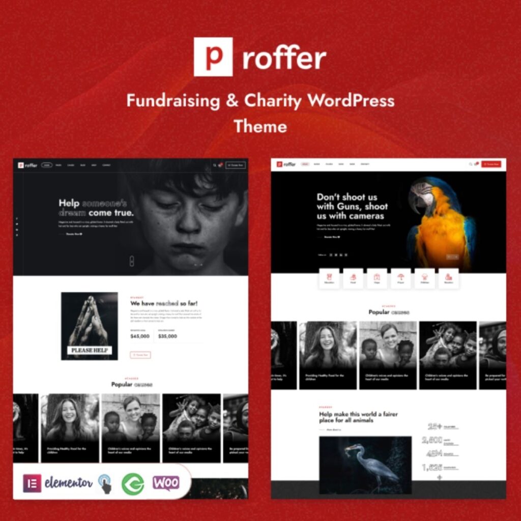 Proffer – Fundraising & Charity WordPress Theme